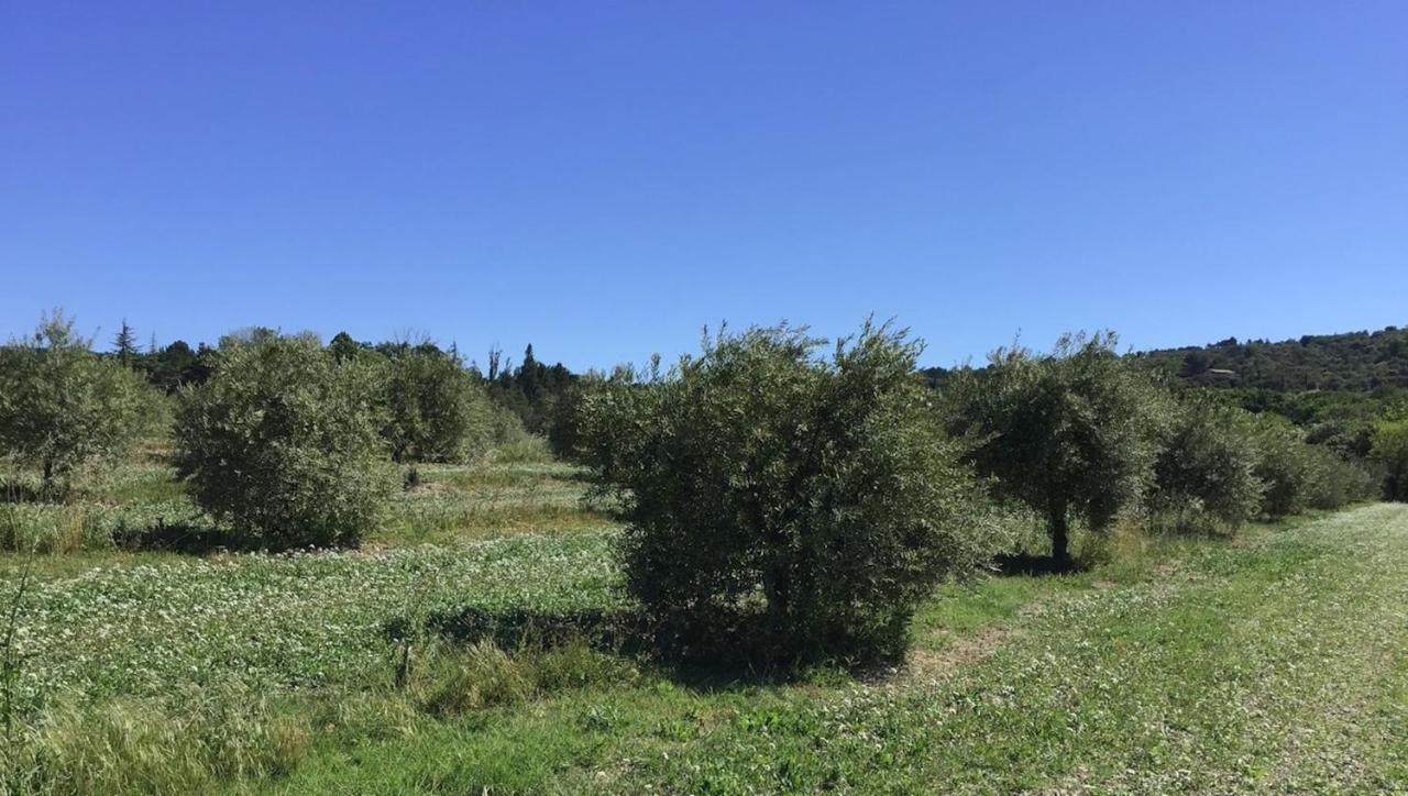 Ferme Oleicole Les Callis Gordes Exterior photo