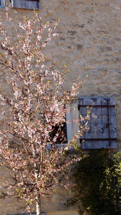Ferme Oleicole Les Callis Gordes Exterior photo